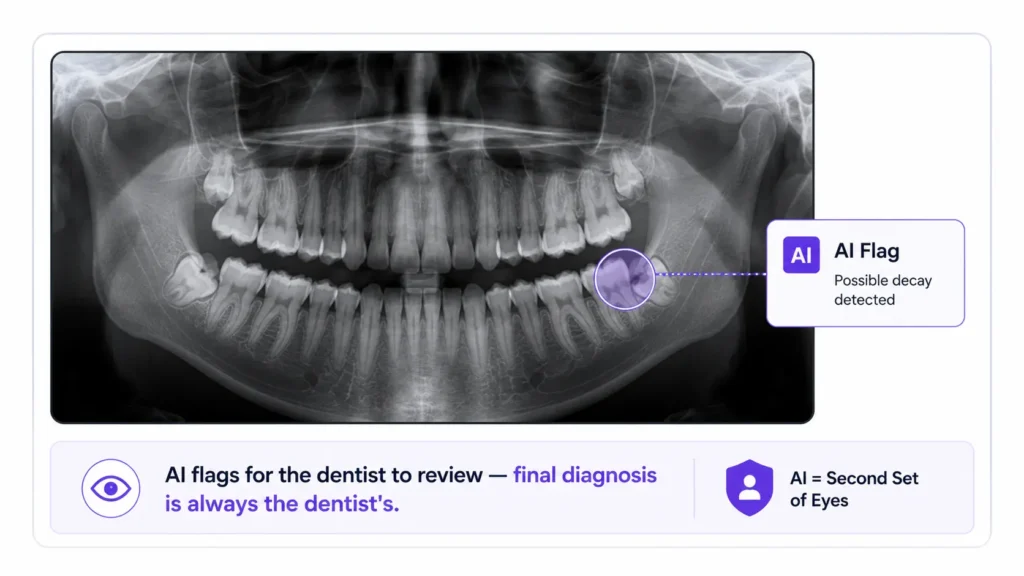 AI dental imaging software — decision support for radiograph review, dentist retains diagnosis